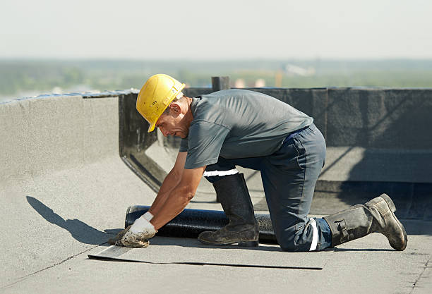 Best Insulation Installation Services in Onarga, IL