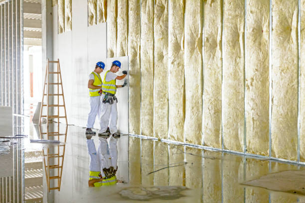 Best Insulation for Specific Applications in Onarga, IL
